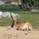 Be a Zookeeper at The Rostock Zoological Garden